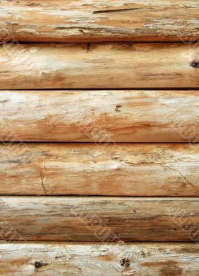 Bright wooden log wall