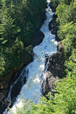 Mountain stream in the summer wood