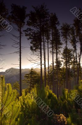 Mountainous scene