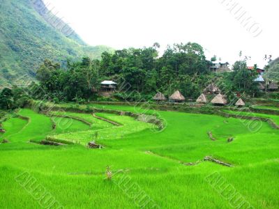 Batad Rice Terraces Village