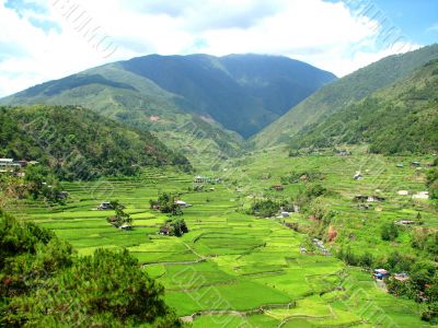 Hapao Rice Terraces Valley