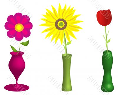 flowers and vases illustration