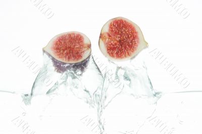 fig