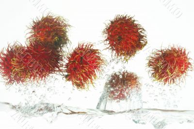 Rambutan