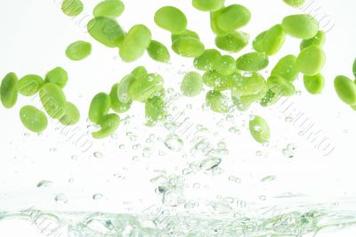 flying soy beans
