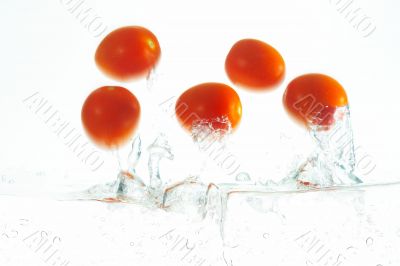 jumping tomatoes