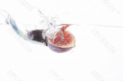 fresh fig