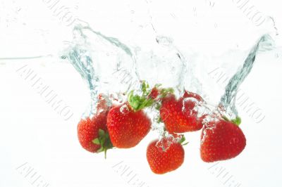 diving strawberries