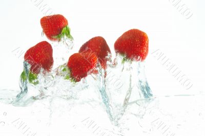 flying strawberries