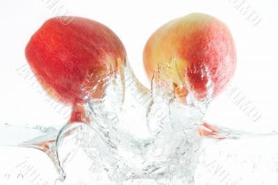 apples