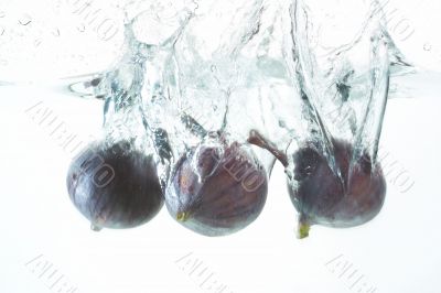 figs