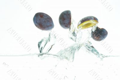 flying plums