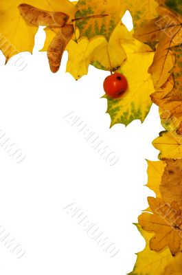 Autumn frame