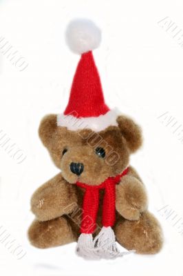 teddy bear in christmas red cap and red scarf isolated on white background