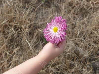 Holding Flower