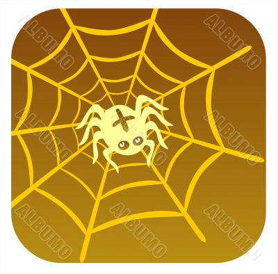 Spider and cobweb