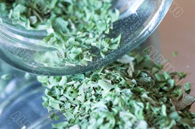 Pot with spilled Italian herbs
