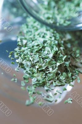 Pot of Italian herbs