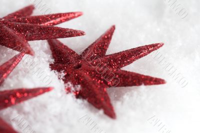 Christmas star
