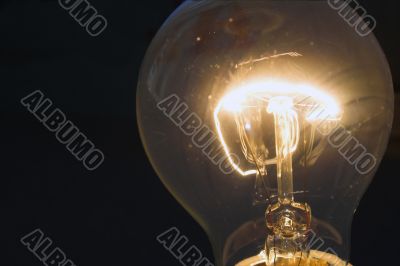 Light Bulb