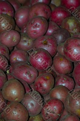 Red Potatoes