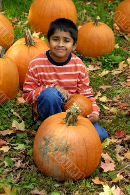 Pumpkins