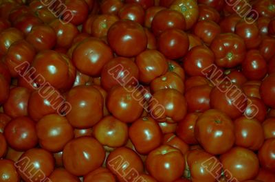 Tomatoes