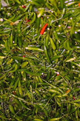 Green chillies