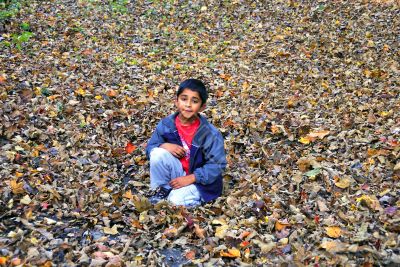Fall Foliage