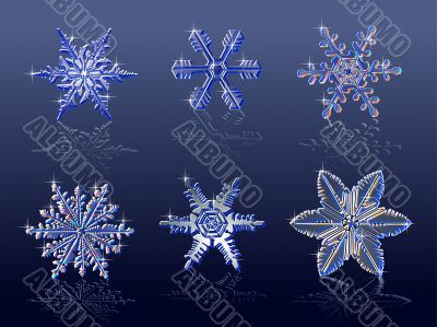 Vector Real snowflakes