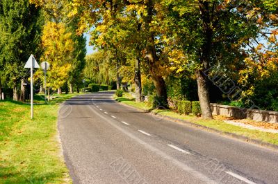 Autumn Road