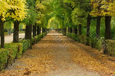 Autumn Park