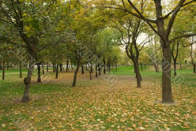 Autumn