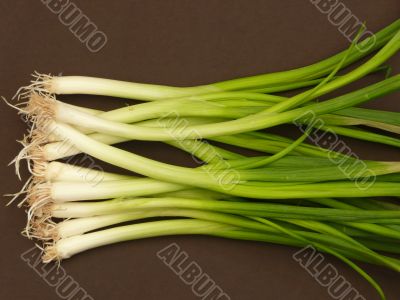 Scallions