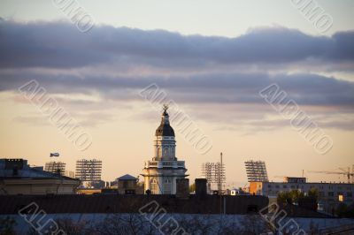 The Cabinet of Curiosities
