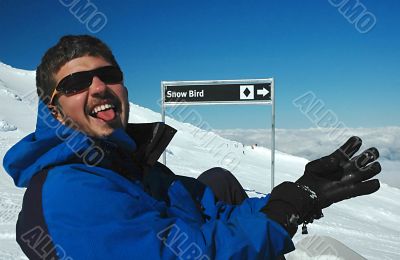 Snow bird - young snowboarder