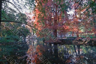 Autumn in the park