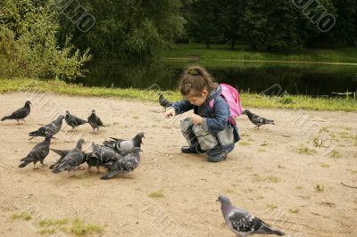 Girl is feeding pigeons