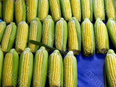 sweet corn
