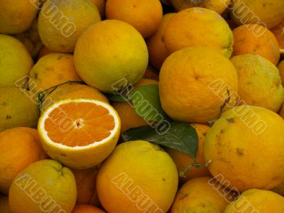 Fresh oranges