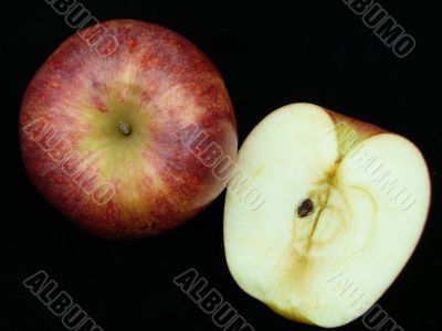 Apples