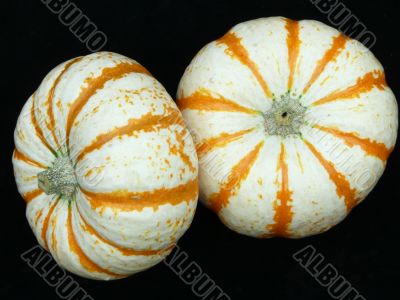 Striped Pumkins