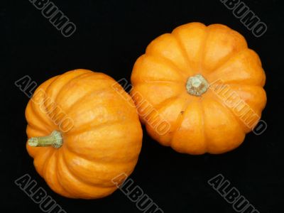 Pumkins on Black