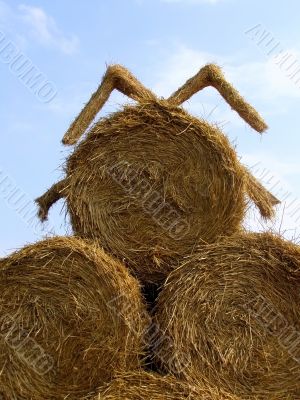 sheaf of hay