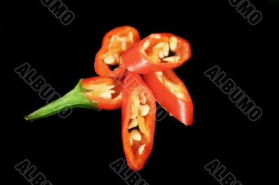 Chili Pepper 2