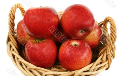 Apples