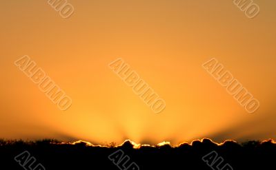 Dawn Background