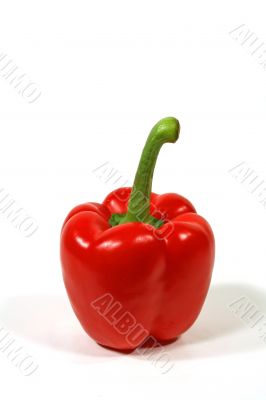 Pepper With Long Stalk