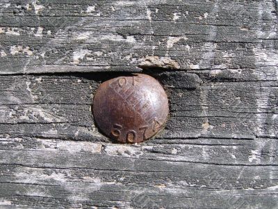 Old wood and bolt head