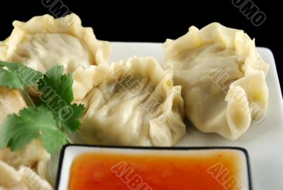 Chinese Dumplings 4